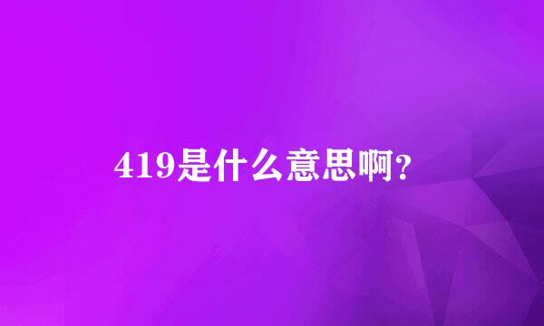 419是什么意思啊？