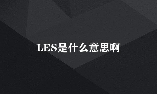 LES是什么意思啊