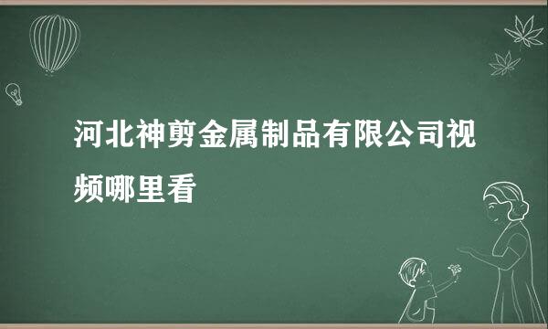 河北神剪金属制品有限公司视频哪里看