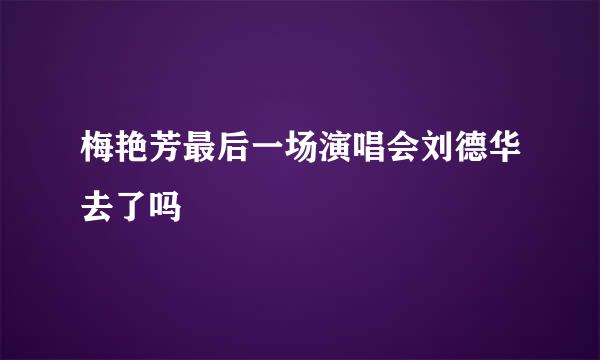 梅艳芳最后一场演唱会刘德华去了吗