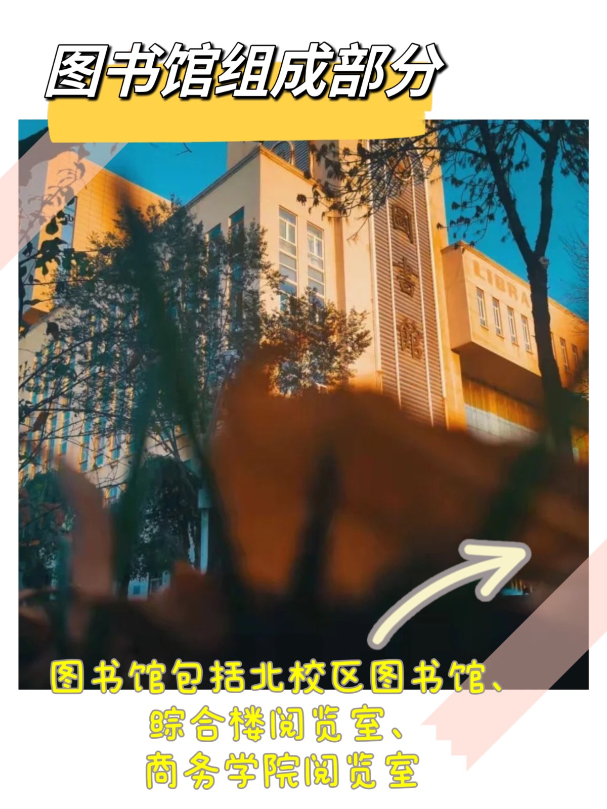 新疆财经大学图书馆怎么样