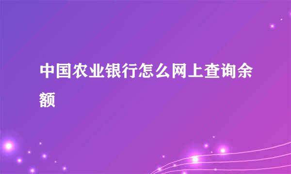 中国农业银行怎么网上查询余额