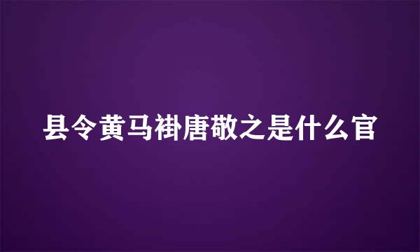 县令黄马褂唐敬之是什么官