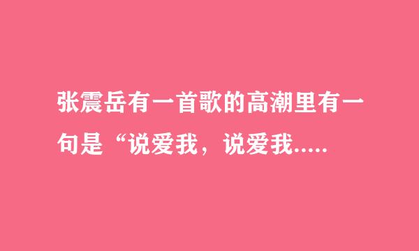 张震岳有一首歌的高潮里有一句是“说爱我，说爱我...”这首歌叫什么名字啊？