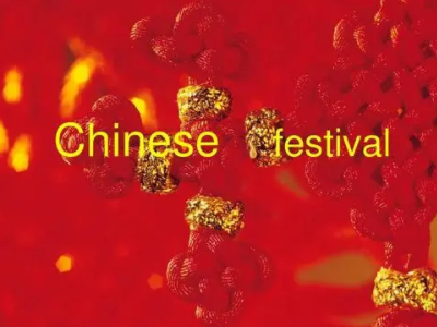 chinesefestival是什么意思