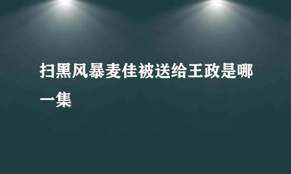 扫黑风暴麦佳被送给王政是哪一集