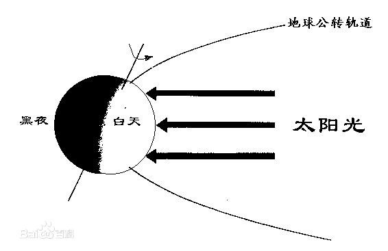 昼夜交替现象对动植物有什么影响