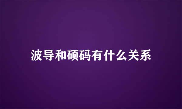 波导和硕码有什么关系