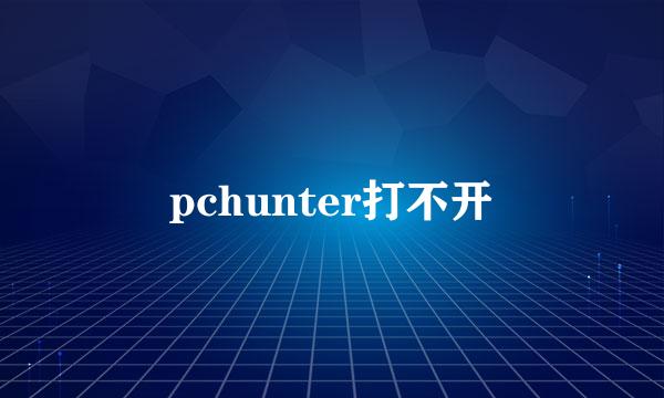 pchunter打不开