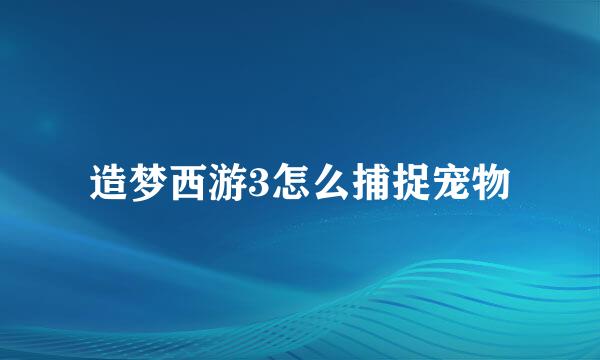 造梦西游3怎么捕捉宠物