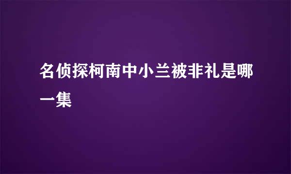 名侦探柯南中小兰被非礼是哪一集