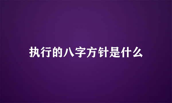 执行的八字方针是什么