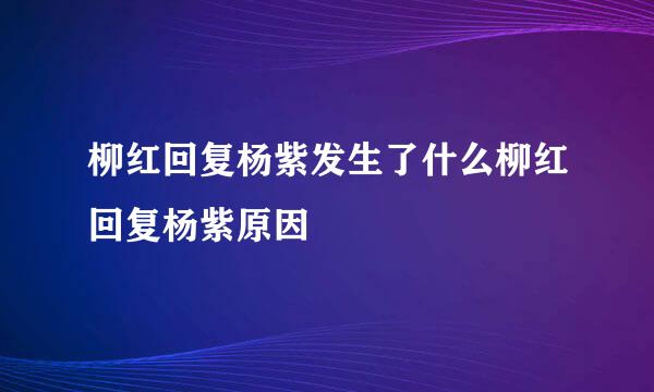 柳红回复杨紫发生了什么柳红回复杨紫原因