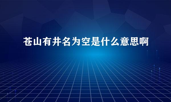 苍山有井名为空是什么意思啊