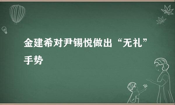 金建希对尹锡悦做出“无礼”手势