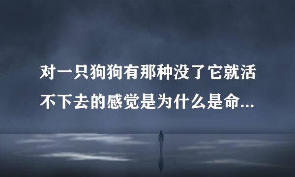 对一只狗狗有那种没了它就活不下去的感觉是为什么是命中注定吗？