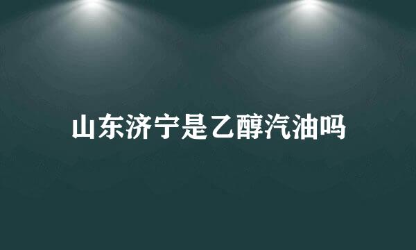 山东济宁是乙醇汽油吗