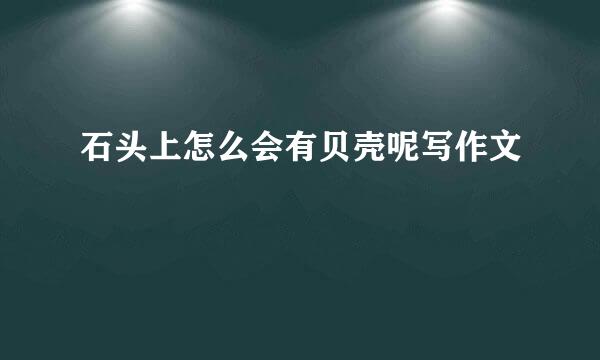 石头上怎么会有贝壳呢写作文