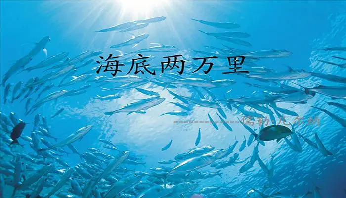 海底两万里好词好句