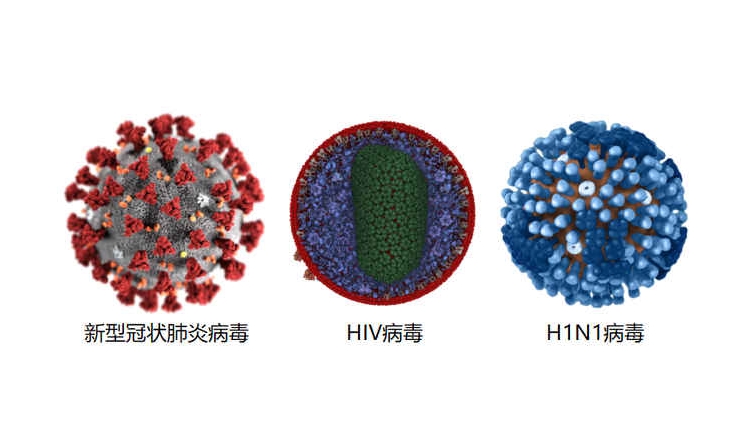 南非一艾滋病患者同时感染新冠，这两种病毒在他的体内发生了什么变化？