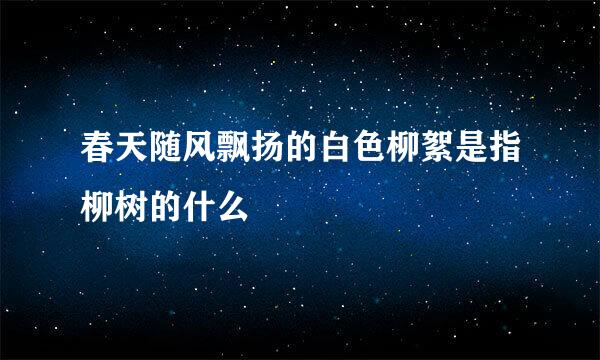 春天随风飘扬的白色柳絮是指柳树的什么