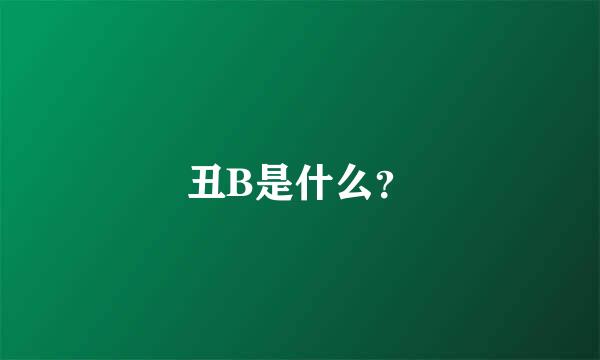 丑B是什么？