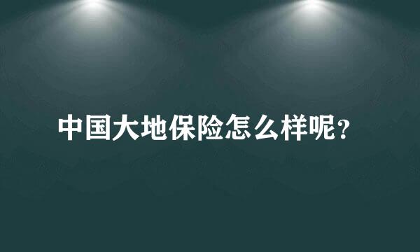 中国大地保险怎么样呢？