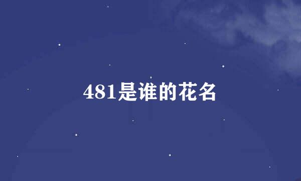 481是谁的花名