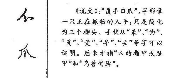 爪多音字可以组什么词？