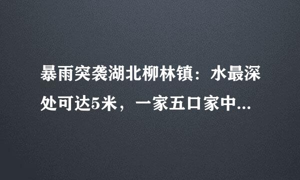 暴雨突袭湖北柳林镇：水最深处可达5米，一家五口家中被困遇难