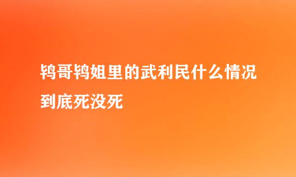 鸨哥鸨姐里的武利民什么情况到底死没死