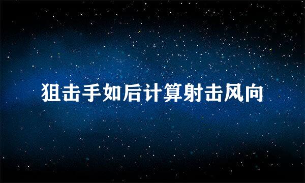 狙击手如后计算射击风向