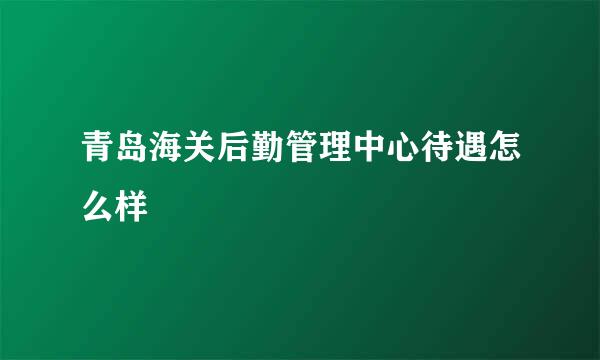 青岛海关后勤管理中心待遇怎么样