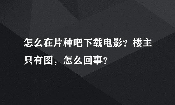 怎么在片种吧下载电影？楼主只有图，怎么回事？