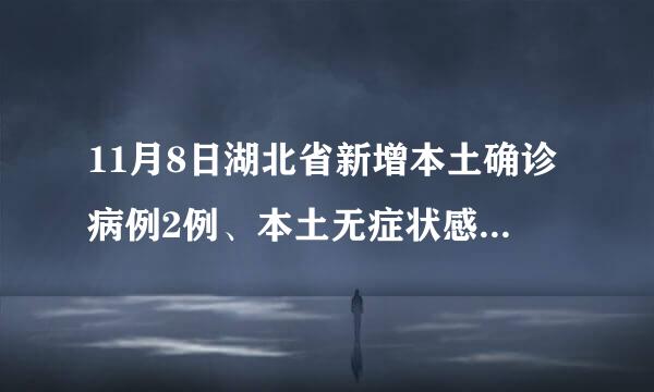 11月8日湖北省新增本土确诊病例2例、本土无症状感染者103例