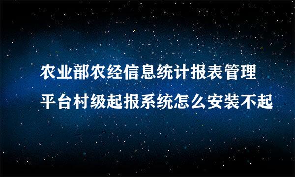 农业部农经信息统计报表管理平台村级起报系统怎么安装不起