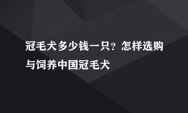 冠毛犬多少钱一只？怎样选购与饲养中国冠毛犬