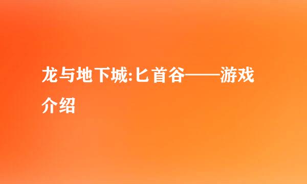 龙与地下城:匕首谷——游戏介绍