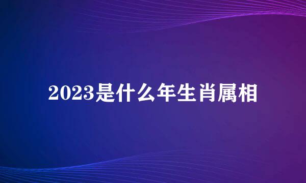 2023是什么年生肖属相