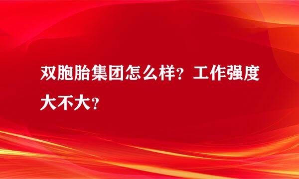 双胞胎集团怎么样？工作强度大不大？