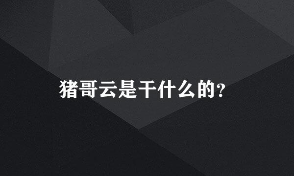 猪哥云是干什么的？