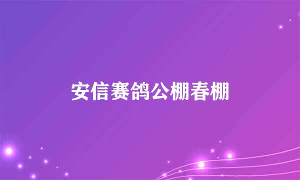 安信赛鸽公棚春棚