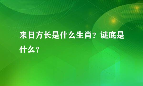 来日方长是什么生肖？谜底是什么？