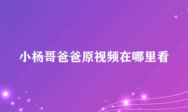 小杨哥爸爸原视频在哪里看