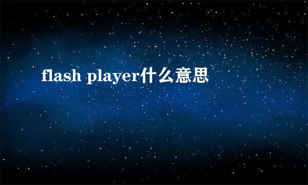 flash player什么意思