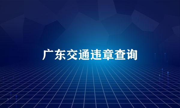 广东交通违章查询