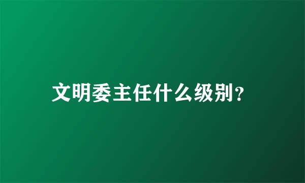 文明委主任什么级别？