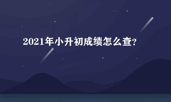 2021年小升初成绩怎么查？