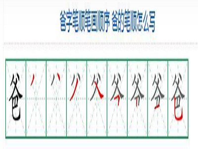 爸爸的笔顺笔画顺序