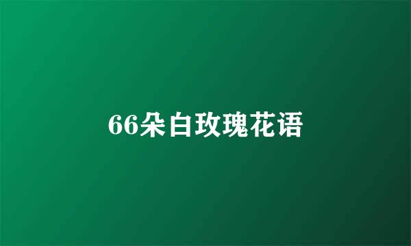 66朵白玫瑰花语